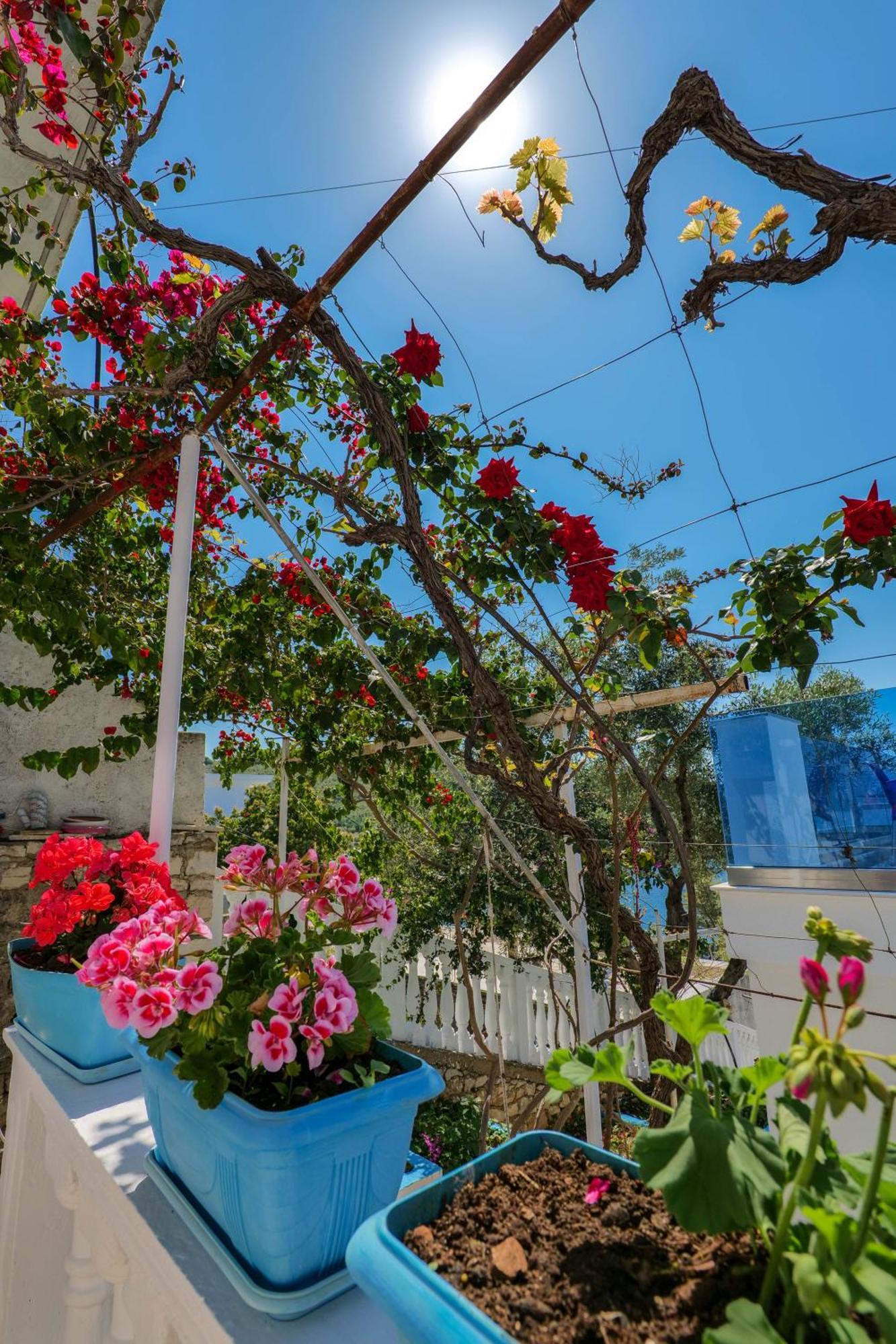 Fabeno Villa Saranda Dış mekan fotoğraf